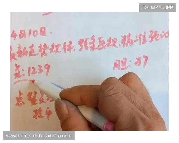 深入分析十一选五数据规律与技巧，助你精准预测提升中奖概率