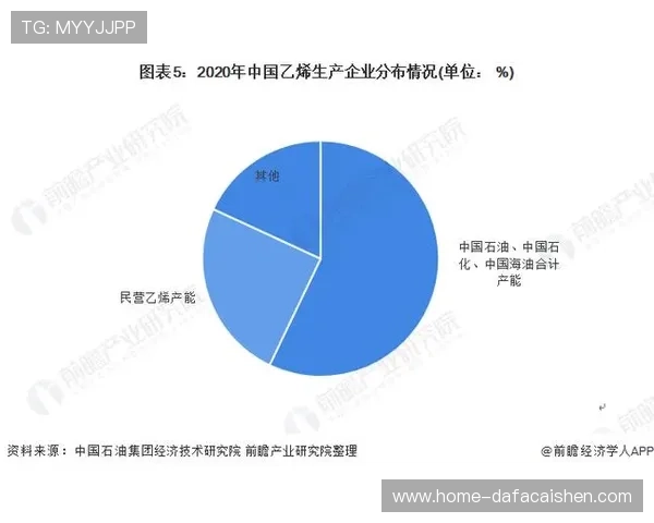 普鲁士多特蒙德股份有限公司发展战略与市场竞争分析 普鲁士多特蒙德股份有限公司发展战略与市场竞争分析