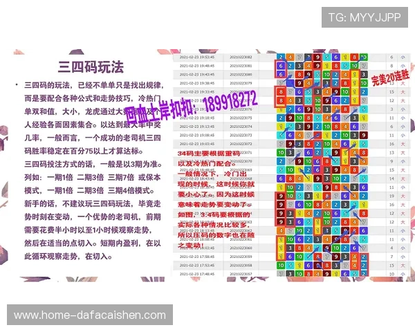 官方飞艇方法精准计划分享与精准计划技巧解析助你稳定提升投注技巧