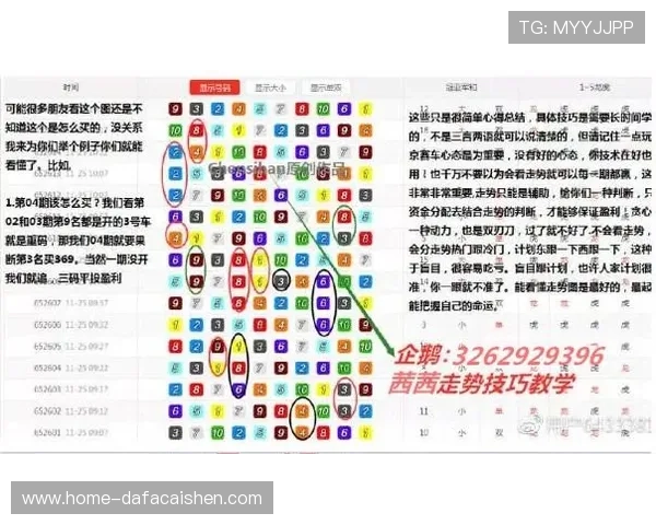 幸运飞艇发展历程与规律揭秘及未来趋势全面分析