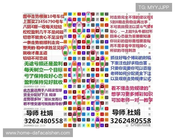 深度揭秘澳洲幸运5详情玩法规律数据分析与精准计划技巧全攻略